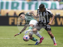 CWC Palmeiras Botafogo Soccer