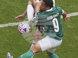 CWC Palmeiras Botafogo Soccer