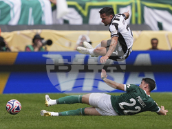 APTOPIX CWC Palmeiras Botafogo Soccer