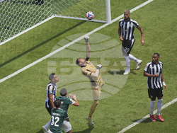 CWC Palmeiras Botafogo Soccer