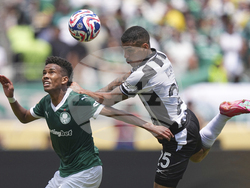 CWC Palmeiras Botafogo Soccer