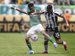 CWC Palmeiras Botafogo Soccer