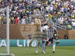 CWC Palmeiras Botafogo Soccer