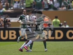CWC Palmeiras Botafogo Soccer