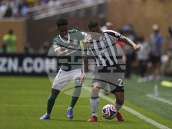 CWC Palmeiras Botafogo Soccer