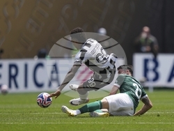 CWC Palmeiras Botafogo Soccer
