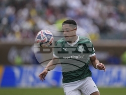 CWC Palmeiras Botafogo Soccer