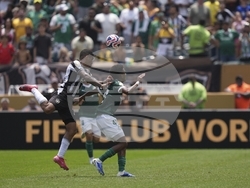 CWC Palmeiras Botafogo Soccer