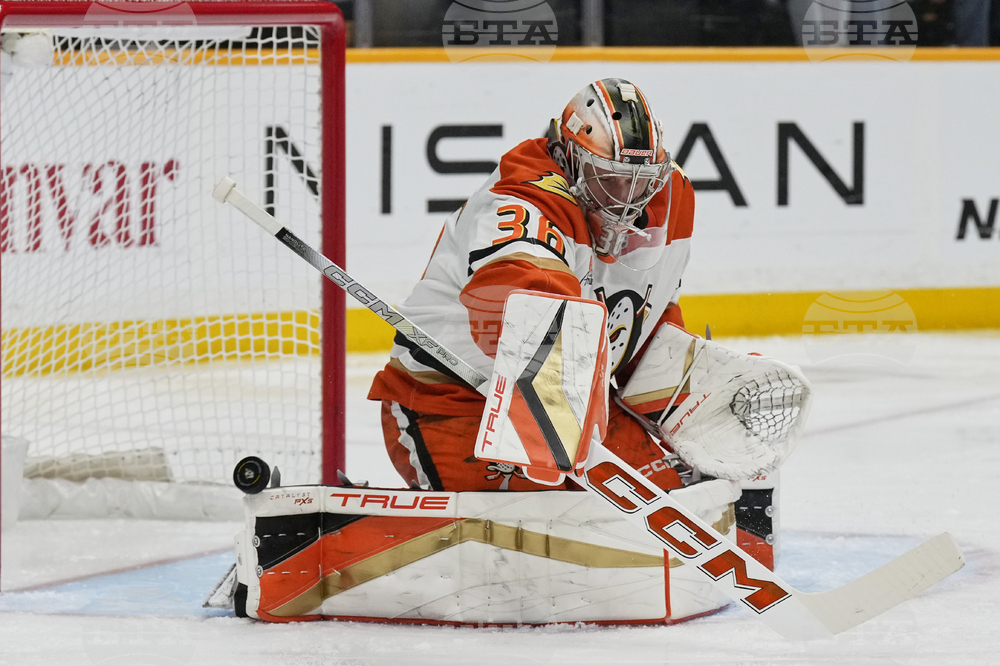 Free Agency RdpHockey