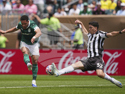 CWC Palmeiras Botafogo Soccer