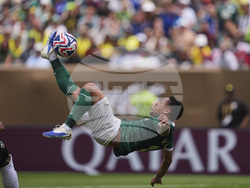 CWC Palmeiras Botafogo Soccer
