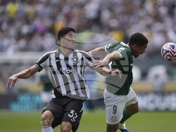 CWC Palmeiras Botafogo Soccer