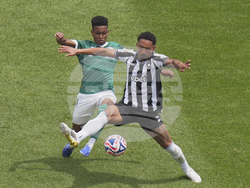 CWC Palmeiras Botafogo Soccer