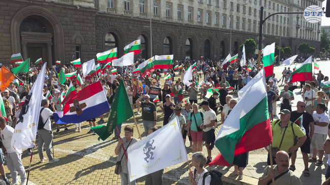 С викове „оставка“, „искаме си лева“ и „не на еврото“ граждани се събраха на протест в центъра на София