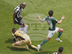 CWC Palmeiras Botafogo Soccer
