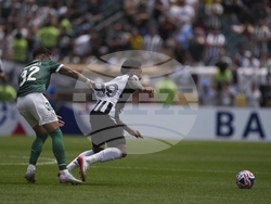 CWC Palmeiras Botafogo Soccer