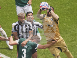 CWC Palmeiras Botafogo Soccer