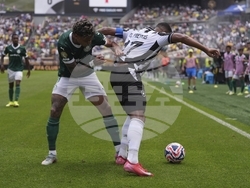 CWC Palmeiras Botafogo Soccer
