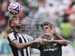 CWC Palmeiras Botafogo Soccer