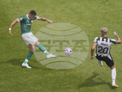 CWC Palmeiras Botafogo Soccer
