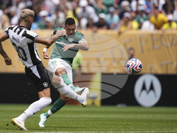 CWC Palmeiras Botafogo Soccer