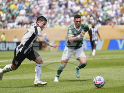 CWC Palmeiras Botafogo Soccer