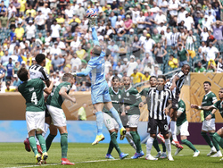 CWC Palmeiras Botafogo Soccer