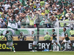 CWC Palmeiras Botafogo Soccer
