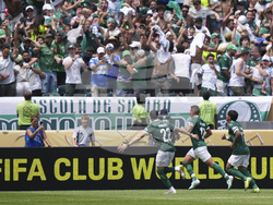 CWC Palmeiras Botafogo Soccer