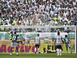 CWC Palmeiras Botafogo Soccer