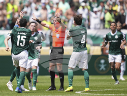 CWC Palmeiras Botafogo Soccer