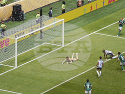 CWC Palmeiras Botafogo Soccer