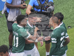 CWC Palmeiras Botafogo Soccer