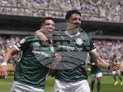 CWC Palmeiras Botafogo Soccer