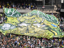 CWC Palmeiras Botafogo Soccer