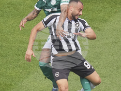 CWC Palmeiras Botafogo Soccer