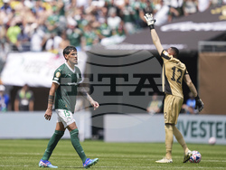 CWC Palmeiras Botafogo Soccer