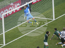 CWC Palmeiras Botafogo Soccer