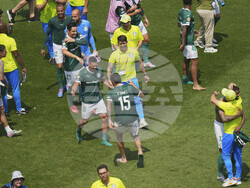 CWC Palmeiras Botafogo Soccer