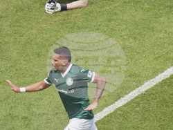 CWC Palmeiras Botafogo Soccer