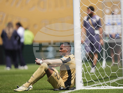CWC Palmeiras Botafogo Soccer