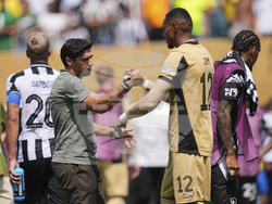 CWC Palmeiras Botafogo Soccer