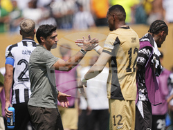 CWC Palmeiras Botafogo Soccer