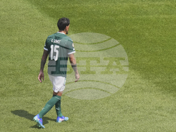 CWC Palmeiras Botafogo Soccer