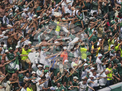CWC Palmeiras Botafogo Soccer