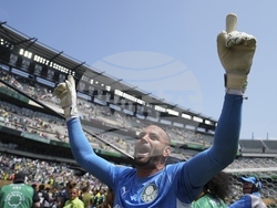 CWC Palmeiras Botafogo Soccer