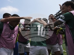 CWC Palmeiras Botafogo Soccer