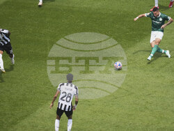CWC Palmeiras Botafogo Soccer