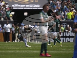 CWC Palmeiras Botafogo Soccer