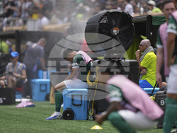CWC Palmeiras Botafogo Soccer
